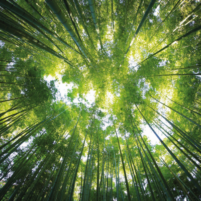 WE CARE ABOUT FUTURE GENERATIONS WE CARE ABOUT FUTURE GENERATIONS
